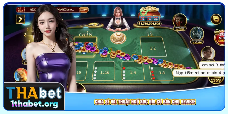 Chia sẻ vài thuật ngữ xóc đĩa cơ bản cho newbie