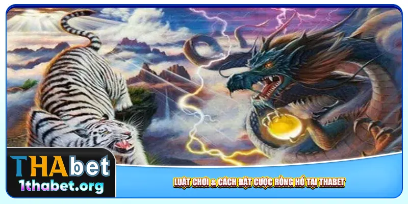 Luật chơi & cách đặt cược rồng hổ tại Thabet
