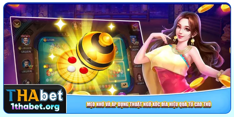 Mẹo nhớ và áp dụng thuật ngữ xóc đĩa hiệu quả từ cao thủ