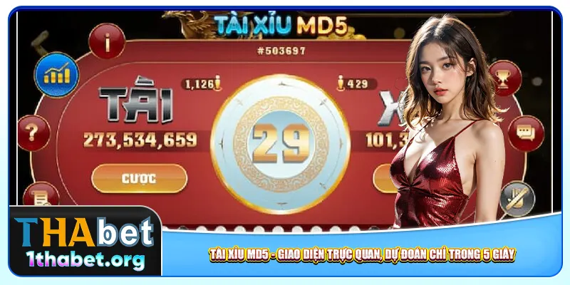Tài Xỉu Md5 – Giao Diện Trực Quan, Dự Đoán Chỉ Trong 5 Giây