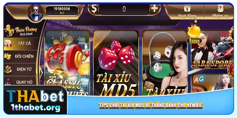 Tips chơi tài xỉu MD5 dễ thắng dành cho newbie